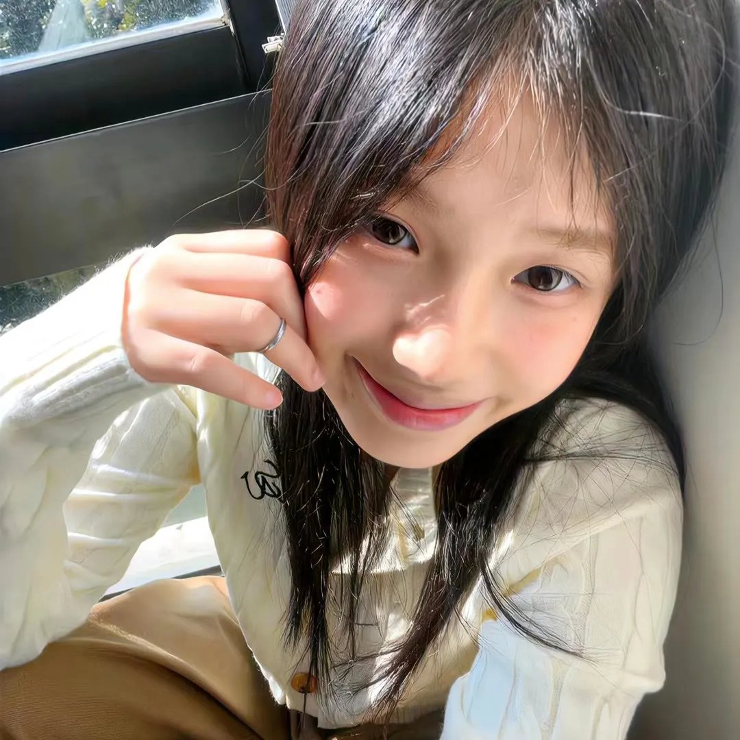 红翼行动